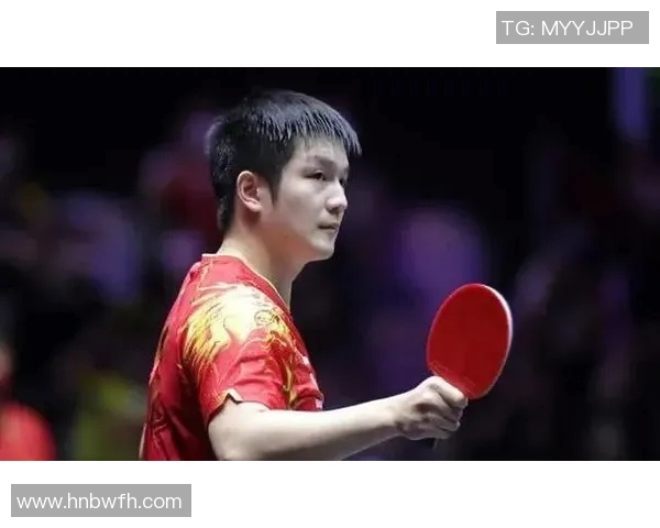 北京网球队防反战术革新探索与实践的深度分析与展望 北京网球队防反战术革新探索与实践的深度分析与展望