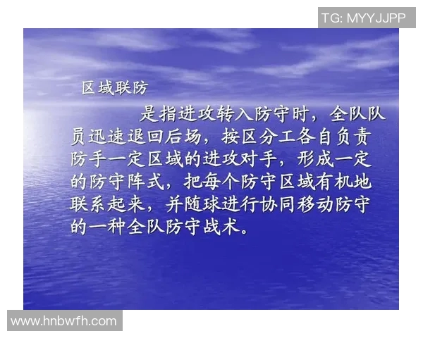 深入分析上海乒乓球队区域防守战术的特点与应用策略