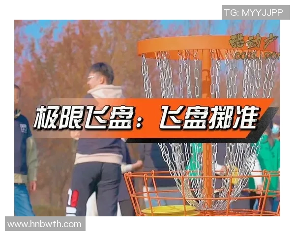 飞盘节奏新手指南从零起步掌握飞盘技巧与乐趣