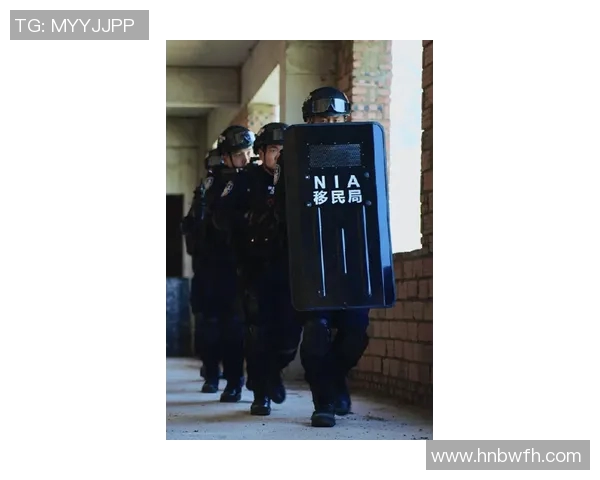 北京排球队防反战术解析与热点动态全面解读