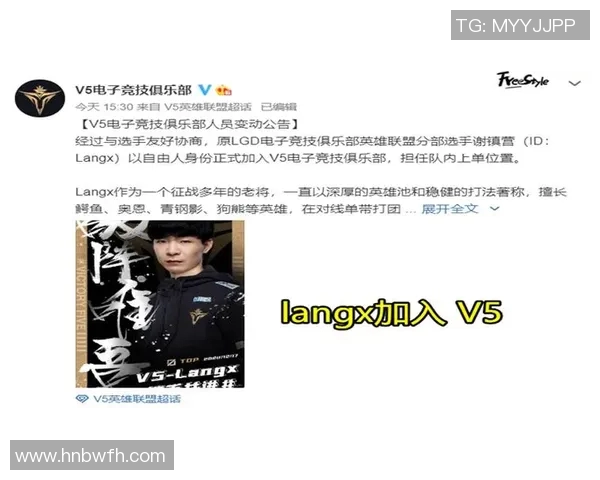 数据分析揭示V5战队实力表现背后的秘密与策略探讨