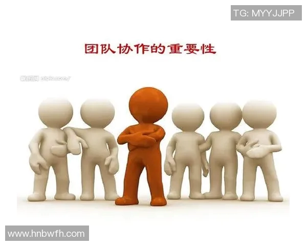 成都排球队的节奏揭秘：深入探讨排球运动的魅力与团队协作