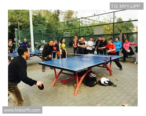 成都乒乓球队逆袭之旅欧锦赛特别报道展现拼搏精神与团队力量