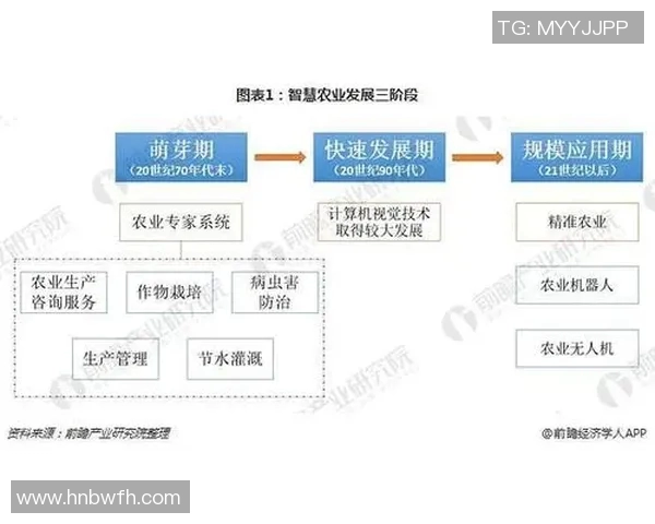 武汉篮球队的比赛经验分析与提升策略探讨