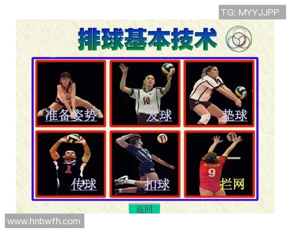 重庆排球队快攻革新之路：技术与战术的全面升级与探索