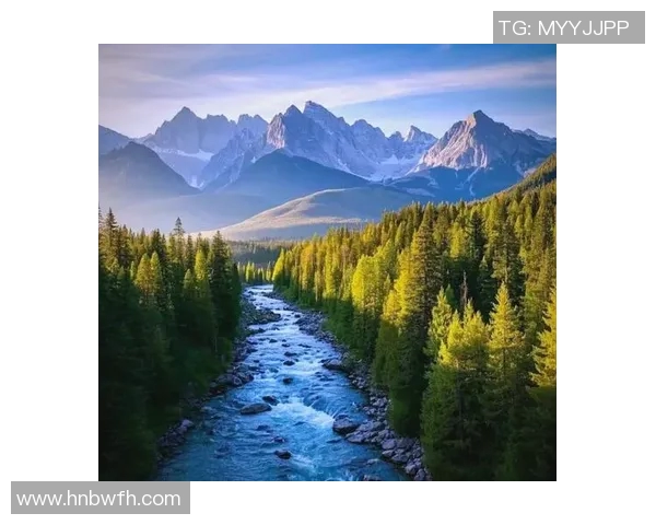 探索阿拉巴的文化魅力与自然风光，感受独特的历史底蕴与现代发展交融之美